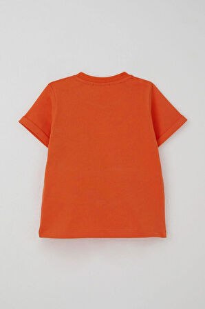 Breeze Erkek Çocuk Şortlu Takım Kaykaycı Dinozor Baskılı Cep Kısmı Kapak Detaylı 2-6 Yaş, Kiremit