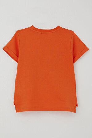 Breeze Erkek Çocuk Tişört Lig Yıldızı Dinozor Baskılı 2-6 Yaş, Turuncu