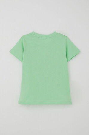 Breeze Erkek Çocuk Şortlu Takım Konsol Kralı Oyuncu Dinozor Baskılı 2-6 Yaş, Su Yeşili