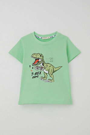 Breeze Erkek Çocuk Şortlu Takım Konsol Kralı Oyuncu Dinozor Baskılı 2-6 Yaş, Su Yeşili