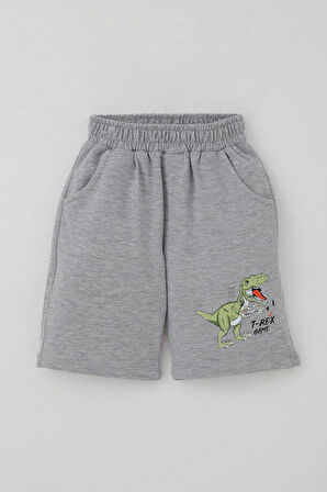 Breeze Erkek Çocuk Şortlu Takım Konsol Kralı Oyuncu Dinozor Baskılı 2-6 Yaş, Su Yeşili