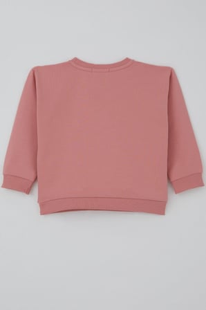 Breeze Kız Çocuk Sweatshirt Triko Çiçek Aplike Armalı 2-6 Yaş, Gülkurusu
