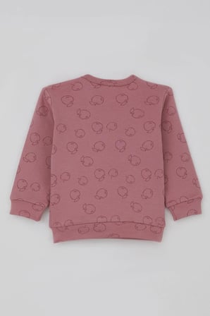 Breeze Kız Bebek Pijama Takımı Omuzdan Patlı Elma Bahçesi 4 Ay-1 Yaş, Gülkurusu
