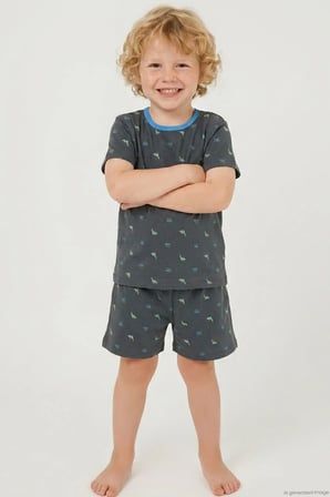 Breeze Erkek Bebek Şortlu Pijama Takım Renkli Dinozor Desenli 9 Ay-3 Yaş, Antrasit
