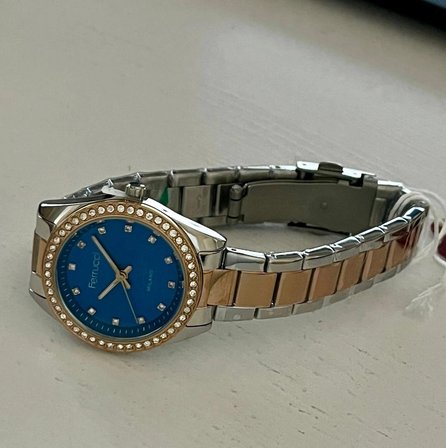 Ferrucci Taşlı Kadran ve Kasa Çelik Kadın Kol Saati+Bileklik Hediye