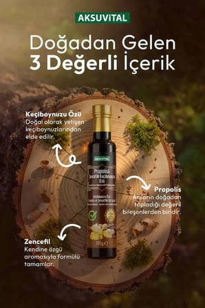 Propolisli Zencefilli Keçiboynuzu Özü 350 gr