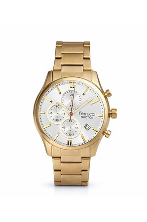 Ferrucci Erkek Kol Saati Gold Çelik Kordon 44 mm Quartz Mineral Cam