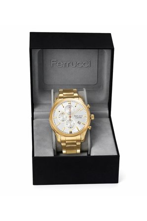 Ferrucci Erkek Kol Saati Gold Çelik Kordon 44 mm Quartz Mineral Cam