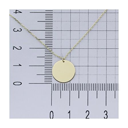 14K Altın Plaka Kolye 4N31134