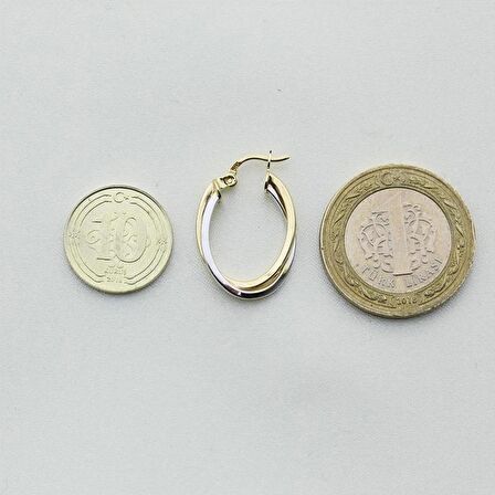  Çift Renk Oval Altın Halka Küpe (Çapı: 1.6x2.5cm) 