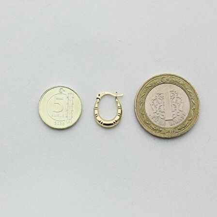 Çizgili Minik Altın Küpe (Çapı:1.10cm)