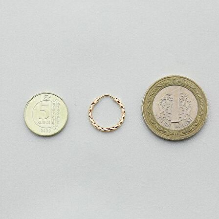 Yıldız Kalemli Pembe Altın Halka Küpe (Çapı: 1.40cm)