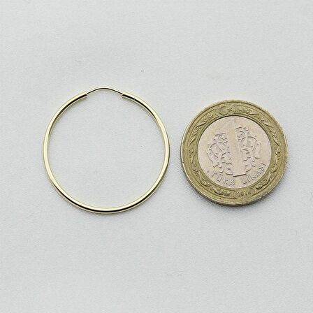 Altın Halka Küpe (Çapı: 2.60cm)