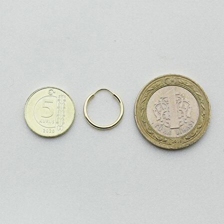 Altın Minik Halka Küpe (Çap: 1.5cm)