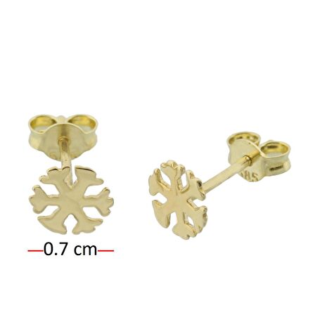 Altın Kar Tanesi Tragus Küpe