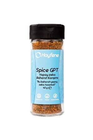 Hayfene Spice GPT Yapay Zeka Baharat Karışımı 40 g e