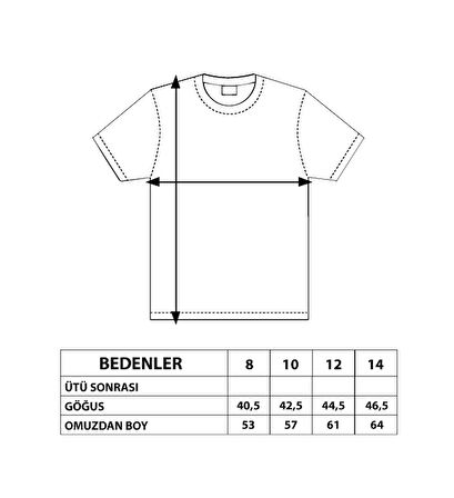 Toontoy Erkek Çocuk Baskılı Kolları Şerit Detaylı Tişört