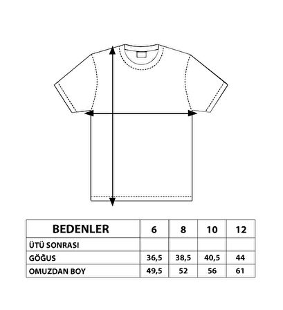 Toontoy Erkek Çocuk Çizgili Tişört