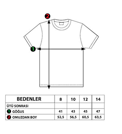 Toontoy Erkek Çocuk İki Renkli Baskılı Tişört
