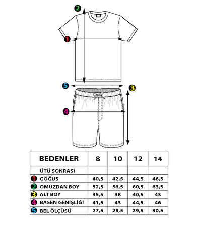 Toontoy Erkek Çocuk Baskılı Şerit Detaylı Şortlu Takım