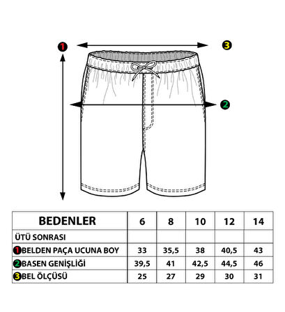Toontoy Erkek Çocuk Fermuar Detaylı  Baskılı Şort