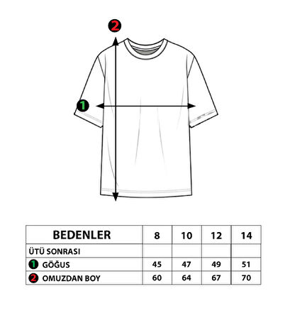 Toontoy Erkek Çocuk Renkli Baskılı Tişört