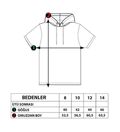 Toontoy Erkek Çocuk Kapüşonlu Baskılı Tişört