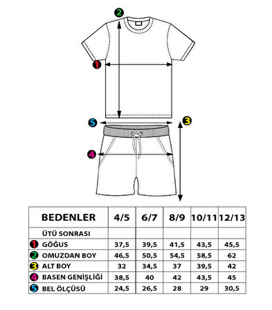 Toontoy Erkek Çocuk Garni Detaylı Baskılı Şortlu Takım