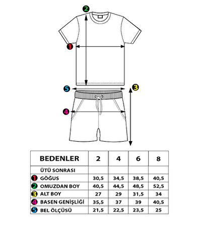 Toontoy Erkek Çocuk Baskılı Şortlu Takım