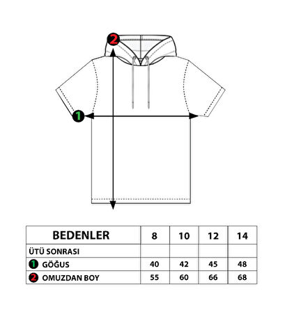 Toontoy Erkek Çocuk Kapüşonu File Detaylı Armalı Tişört
