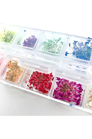 Fontenay Nail Art Gerçek Kuru Süsleme Çiçekleri(12'Lİ) Protez Tırnak