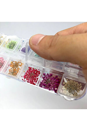 Fontenay Nail Art Gerçek Kuru Süsleme Çiçekleri(12'Lİ) Protez Tırnak
