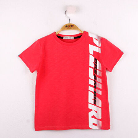 Toontoy Erkek Çocuk Playhard Baskılı Tişört