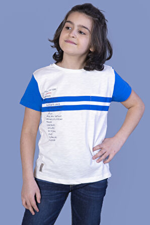 Toontoy Erkek Çocuk Çizgili Baskılı Tişört