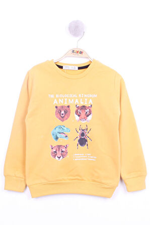 Toontoy Erkek Çocuk Hayvan Baskılı Sweatshirt