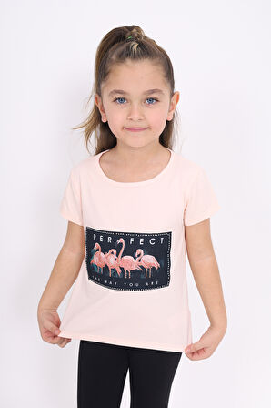 Toontoy Kız Çocuk Flamingo Baskılı Tişört