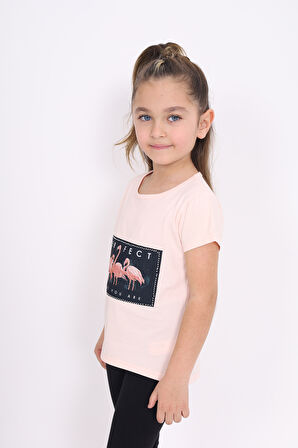 Toontoy Kız Çocuk Flamingo Baskılı Tişört