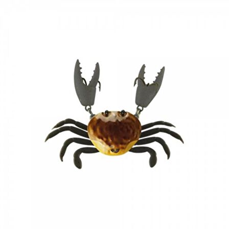 Japanese Yengeç Crab HG2562