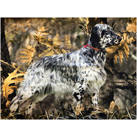 Setter Orman Desen Uzun Kollu Sweatshirt
