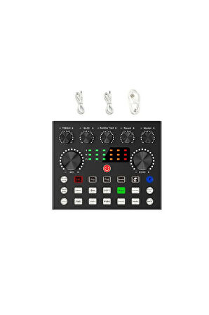 LGT240 Filtreli Condenser Mikrofon V8S Live Plus Ses Kartı ve Standlı Set