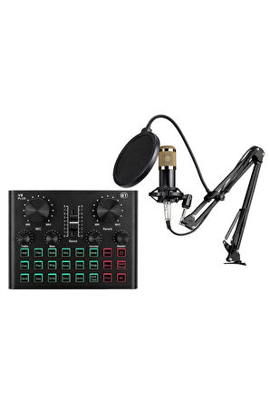 BM600 Filtreli Condenser Mikrofon V8 Plus Ses Kartı ve Standlı Set