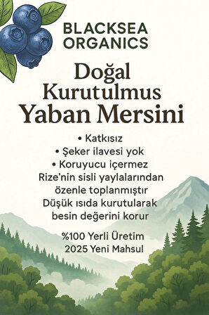 Organik Kurutulmuş Yaban Mersini 100g – Katkısız & Doğal