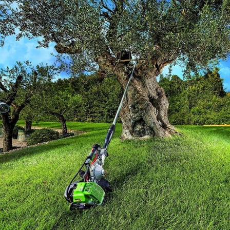 Benzinli Zeytin Hasat Makinesi