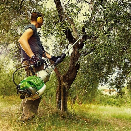 Benzinli Zeytin Hasat Makinesi