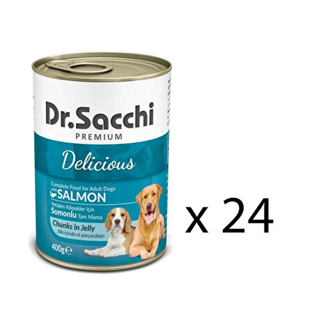 Dr. Sacchi Delicious Somonlu Köpek Konservesi 400 gr (24 Adet)