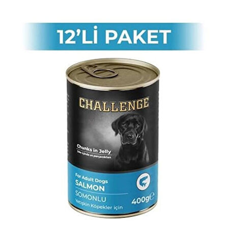Challenge Somonlu Köpek Konservesi 400 g (12 Adet)