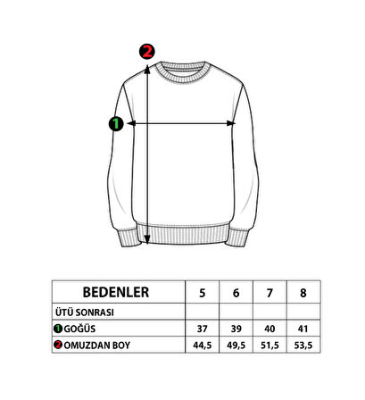 Toontoy Erkek Çocuk Baskılı Sweatshirt