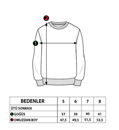 Toontoy Erkek Çocuk Baskılı Sweatshirt