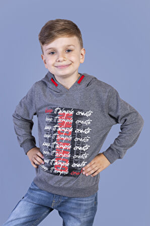 Toontoy Erkek Çocuk Kapüşonlu Baskılı Sweatshirt