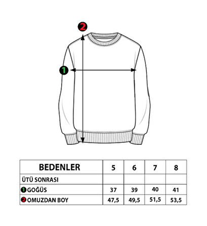 Toontoy Erkek Çocuk Komple Baskılı Sweatshirt